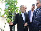 بازدید سرپرست فرمانداری بهارستان از مدرترین گلخانه شیشه ای استان تهران