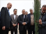 کمبود و فاصله معنادار سرانه فضای سبز شهرستان با استانداردها