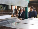اولویت حمایت از تولید و سرمایه‌گذاری در شهرستان بهارستان