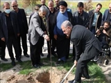 کاشت و اهدای ۲ هزار نهال در روستای همدانک توسط فرماندار بهارستان