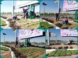 خودکفایی در تولید انواع گونه های گیاهی نتیجه داد