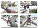  تأکید شهردار صالحیه بر نوسازی مبلمان شهری