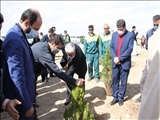 حضور عبداله نوحی فرماندار شهرستان بهارستان در آیین درختکاری
