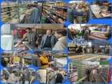 گشت مشترک کارگروه تنظیم بازار