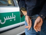 با اجرای طرح امنیت محله محور در بهارستان؛ 34 نفر از مزاحمین نوامیس مردم و اراذل و اوباش دستگیر شدند.