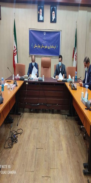 جلسه کارگروه ثبت وقایع حیاتی چهارگانه