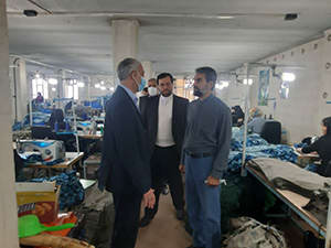 بازدید سرپرست فرمانداری بهارستان